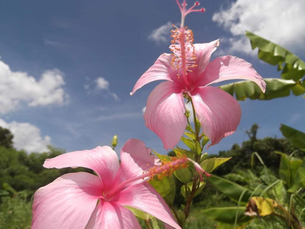 Yoisama Sunrise Beach House Ishigaki (Okinawa) Exterior foto