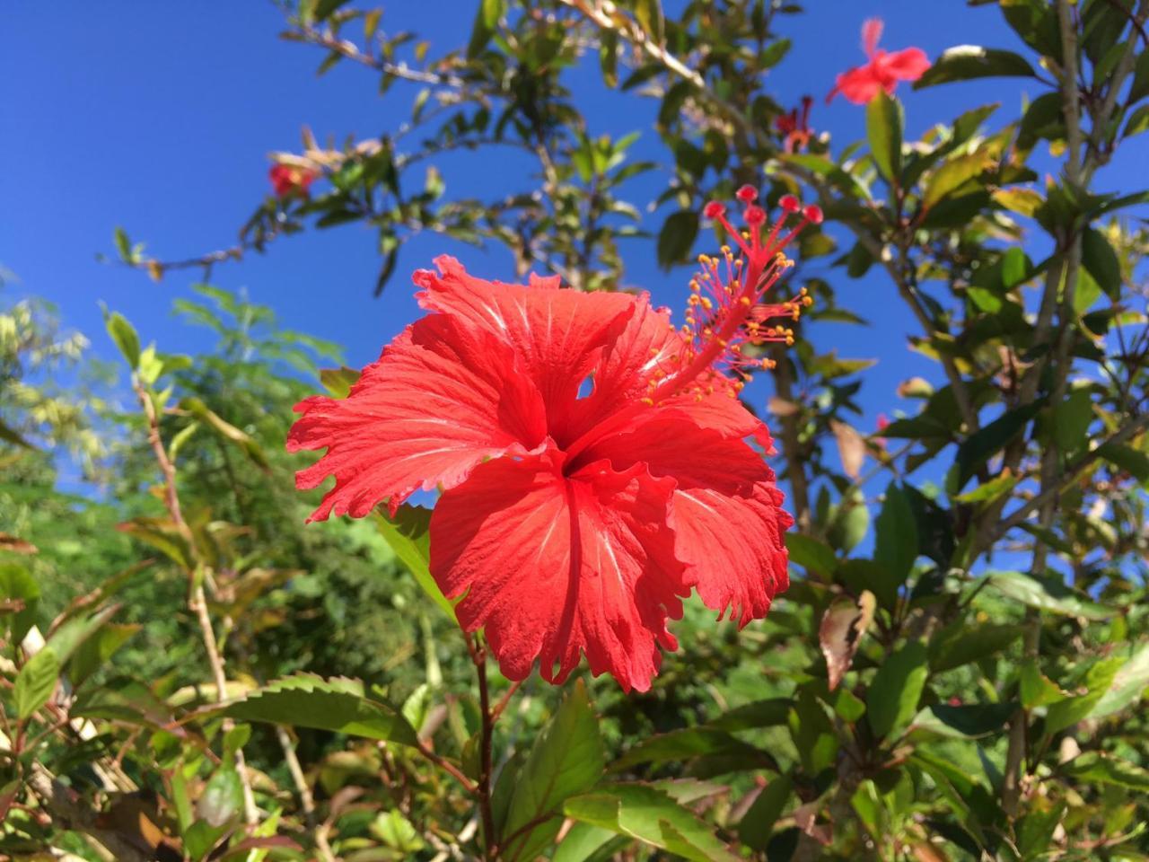 Yoisama Sunrise Beach House Ishigaki (Okinawa) Exterior foto
